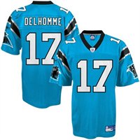 Carolina Panthers #17 Jake Delhomme blue Jersey